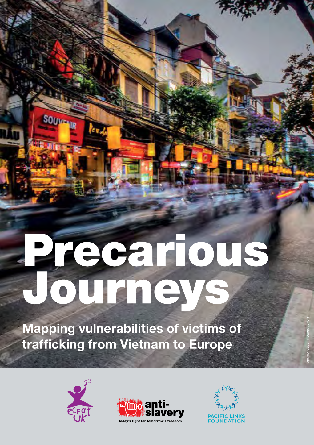 Mapping Vulnerabilities of Victims of Trafficking from Vietnam to Europe 1