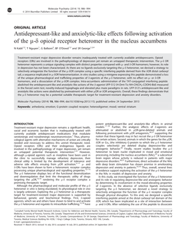 Opioid Receptor Heteromer in the Nucleus Accumbens