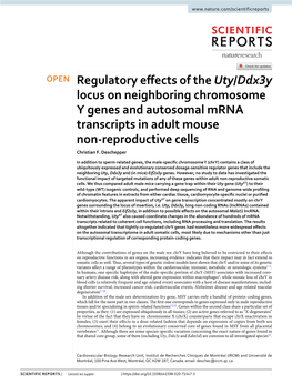 Regulatory Effects of the Uty/Ddx3y Locus on Neighboring Chromosome Y Genes and Autosomal Mrna Transcripts in Adult Mouse Non-Re