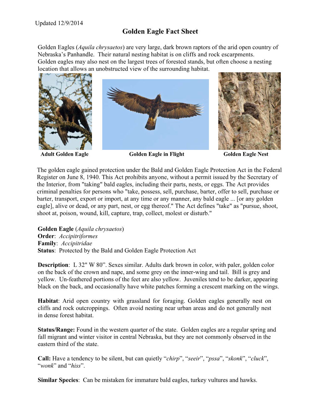 Golden Eagle Fact Sheet