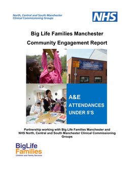 Big Life Families Manchester Community Engagement Report Pdf