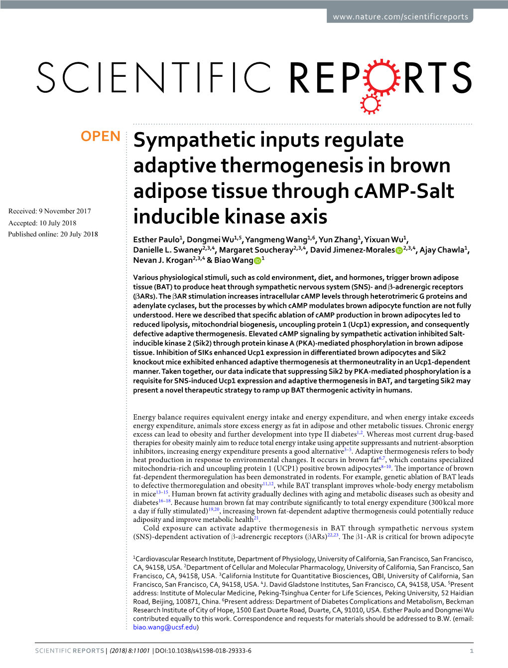 Sympathetic Inputs Regulate Adaptive Thermogenesis in Brown Adipose