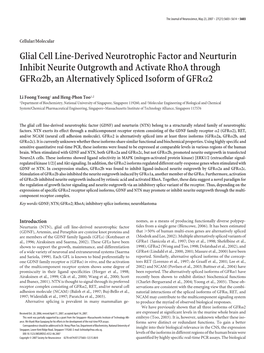 Glial Cell Line-Derived Neurotrophic Factor and Neurturin Inhibit Neurite Outgrowth and Activate Rhoa Through GFR␣2B, an Alternatively Spliced Isoform of GFR␣2
