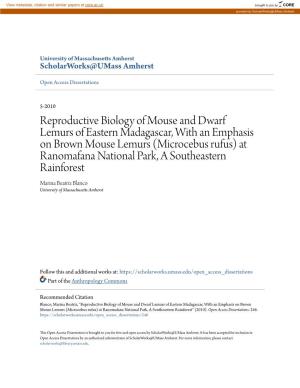 Reproductive Biology of Mouse and Dwarf Lemurs of Eastern