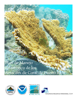 Plan De Manejo Estratégico De Los Arrecifes De Coral De Puerto Rico Créditos