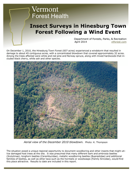 Insect Surveys in Hinesburg's Town Forest Following a Wind Event