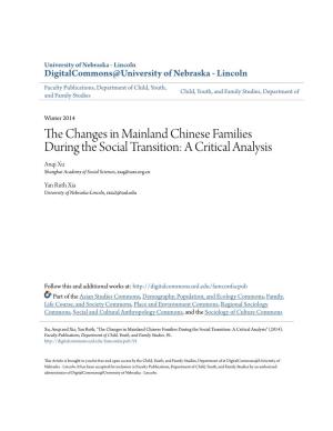 The Changes in Mainland Chinese Families During the Social Transition: a Critical Analysis