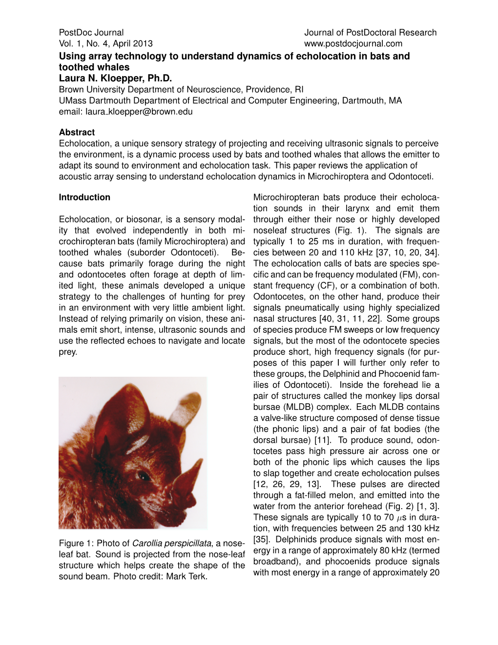 Using Array Technology to Understand Dynamics of Echolocation in Bats and Toothed Whales Laura N