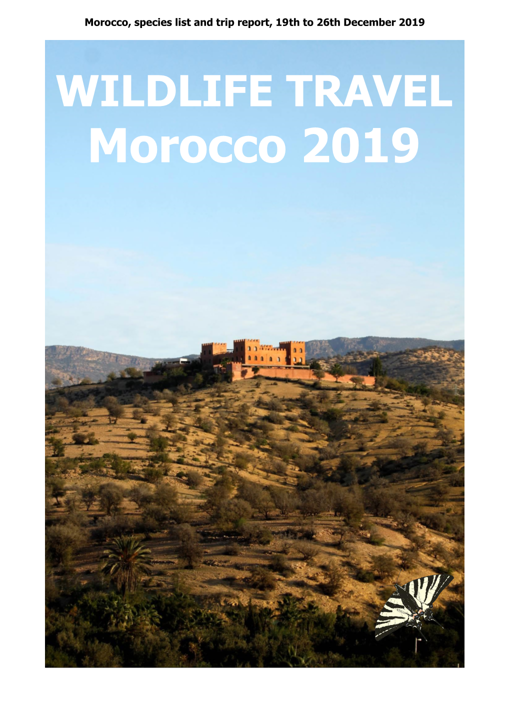 Wildlife Travel Morocco December 2019
