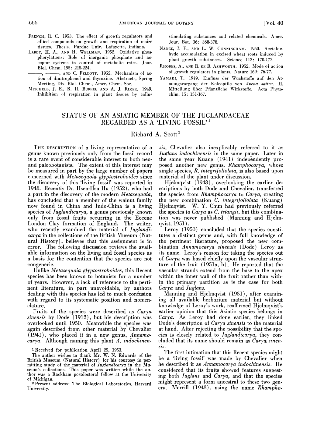 STATUS of an ASIATIC MEMBER of the JUGLANDACEAE REGARDED AS a 'LIVING FOSSIL'l Richard A