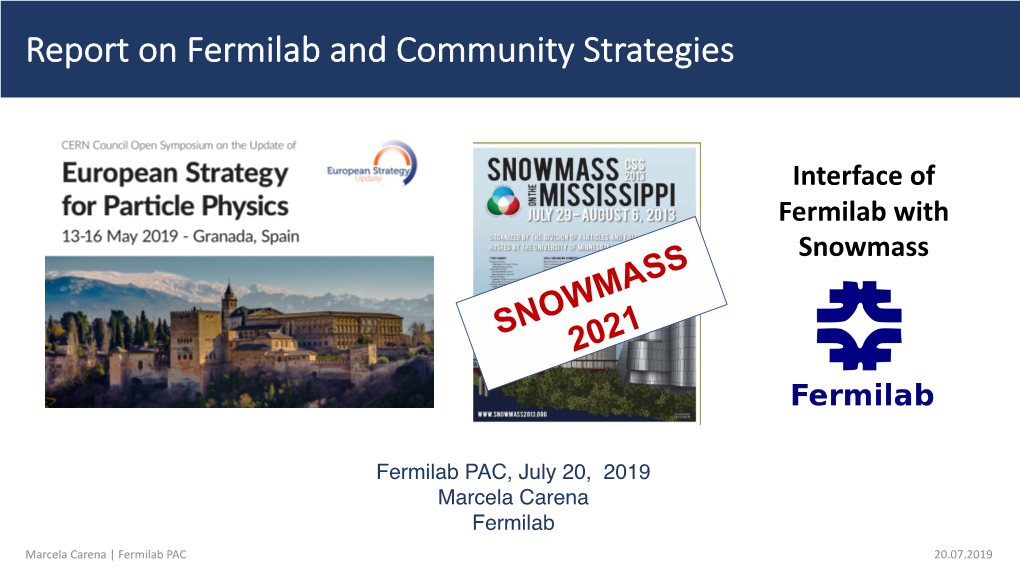 Report on Fermilab and Community Strategies