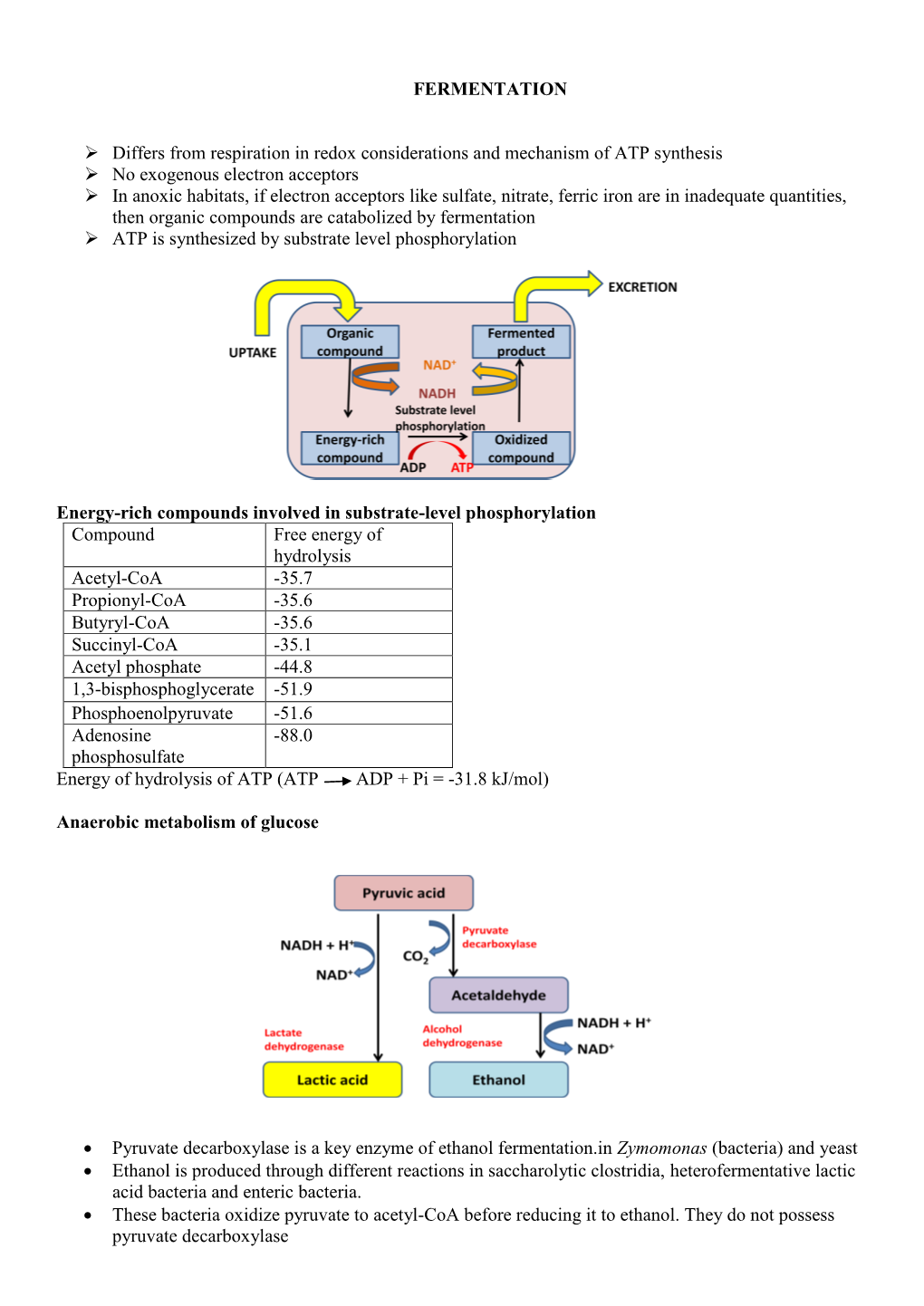 FERMENTATION Differs from Respiration in Redox Considerations and Mechanism of ATP Synthesis No Exogenous Electron Accep