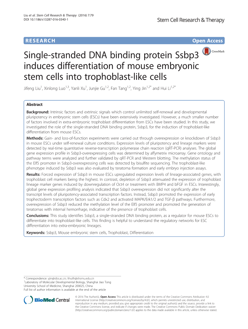 Single-Stranded DNA Binding Protein Ssbp3 Induces Differentiation Of