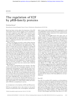 The Regulation of E2F by Prb-Family Proteins