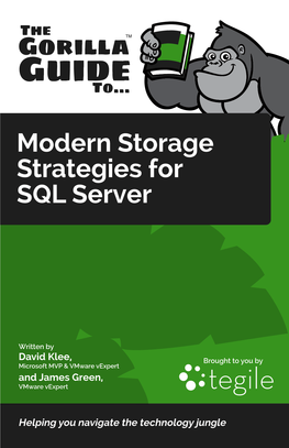 Modern Storage Strategies for SQL Server