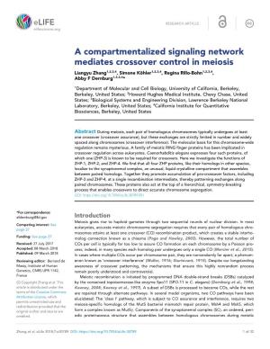 A Compartmentalized Signaling Network Mediates Crossover Control