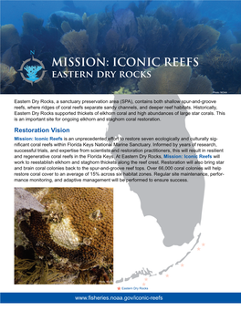 MISSION: ICONIC REEFS Eastern Dry Rocks