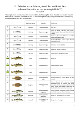 EU Fisheries in the Atlantic, North Sea and Baltic Sea in Line with Maximum Sustainable Yield (MSY) January 2016