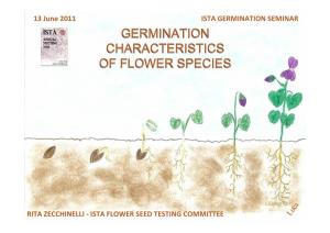 Flower Speciesspecies