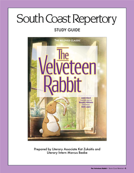 The Velveteen Rabbit Study Guide