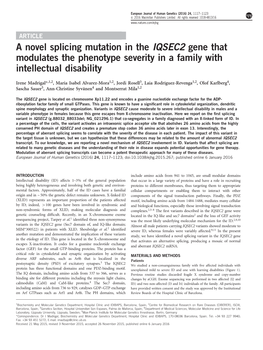 A Novel Splicing Mutation in the IQSEC2 Gene That Modulates the Phenotype Severity in a Family with Intellectual Disability