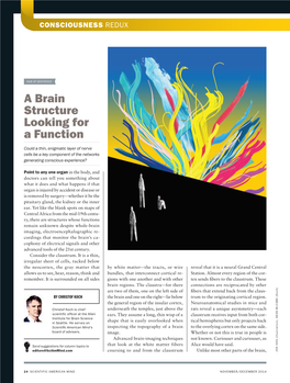 A Brain Structure Looking for a Function