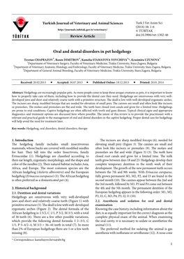 Oral and Dental Disorders in Pet Hedgehogs