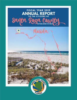 Fiscal Year 2019 Annual Report to the Citizens Of