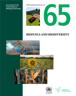 Biofuels and Biodiversity