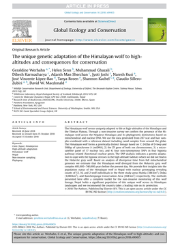 The Unique Genetic Adaptation of the Himalayan Wolf to High-Altitudes