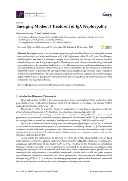 Emerging Modes of Treatment of Iga Nephropathy
