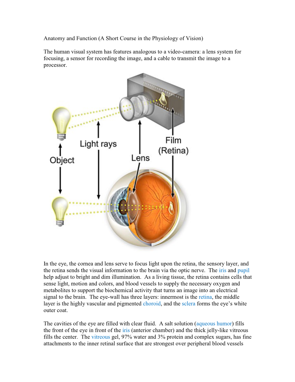 Anatomy of The