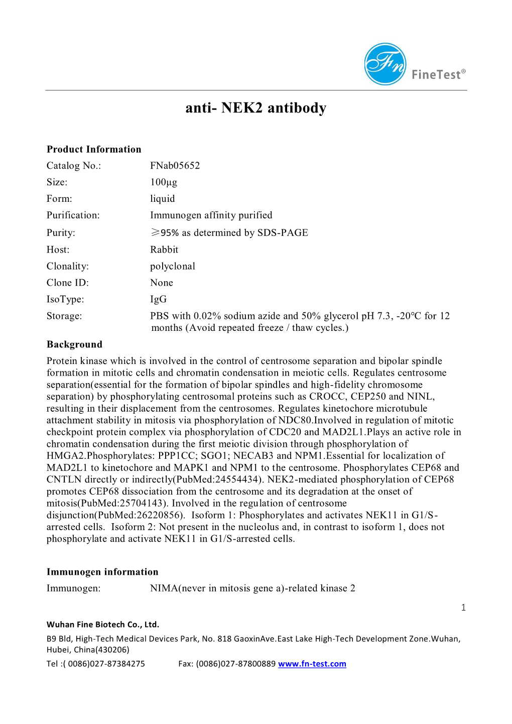 Anti- NEK2 Antibody