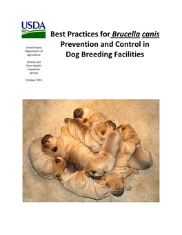 Best Practices for Brucella Canis Prevention And