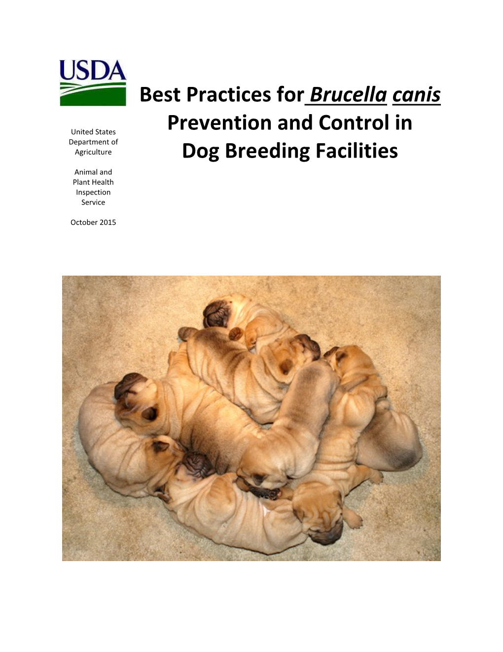 Best Practices For Brucella Canis Prevention And - DocsLib