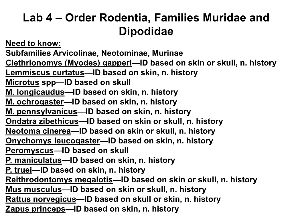 Lab 4 – Order Rodentia, Families Muridae and Dipodidae