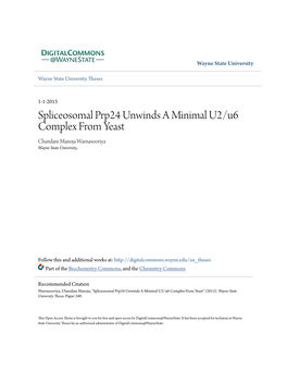 Spliceosomal Prp24 Unwinds a Minimal U2/U6 Complex from Yeast Chandani Manoja Warnasooriya Wayne State University