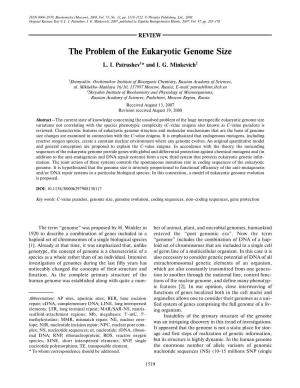 The Problem of the Eukaryotic Genome Size