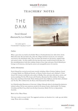 The Dam Teachers' Notes