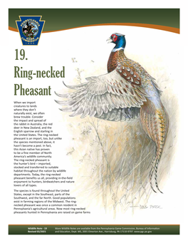 Ring-Necked Pheasant When We Import Creatures to Lands Where They Don’T Naturally Exist, We Often Brew Trouble
