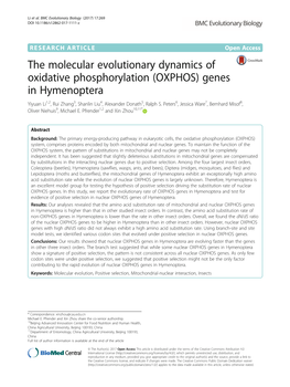 The Molecular Evolutionary Dynamics of Oxidative Phosphorylation (OXPHOS) Genes in Hymenoptera Yiyuan Li1,2, Rui Zhang3, Shanlin Liu4, Alexander Donath5, Ralph S