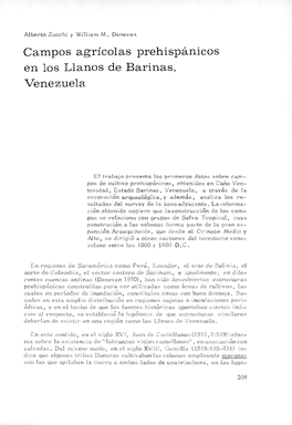 Campos Agrícolas Prehispánicos En Los Llanos De Barinas, Venezuela