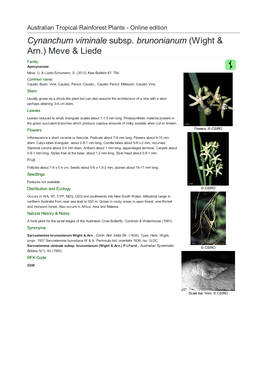 Cynanchum Viminale Subsp. Brunonianum (Wight & Arn.) Meve & Liede Family: Apocynaceae Meve, U