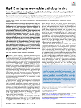 Hsp110 Mitigates Α-Synuclein Pathology in Vivo