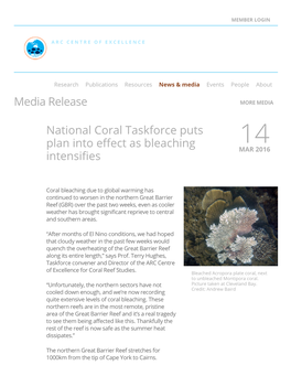 Media Release National Coral Taskforce Puts Plan Into Effect As Bleaching Intensifies