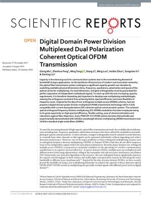 Digital Domain Power Division Multiplexed Dual Polarization