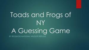 Toads and Frogs of NY Guessing Game