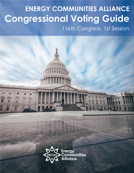 2019 Congressional Voting Guide