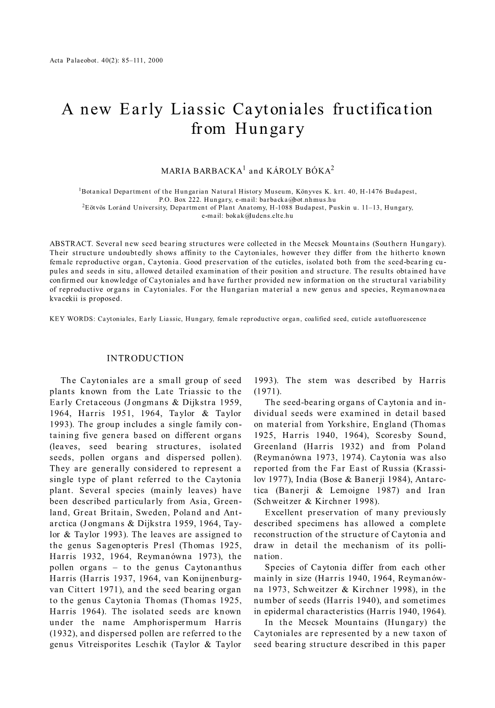 A New Early Liassic Caytoniales Fructification from Hungary