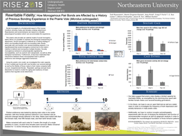 How Monogamous Pair Bond Are Affected by a History of Previous Bonding Experience in the Prairie Vole